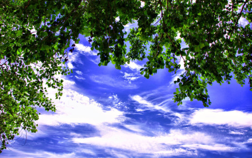 487690 (a): :2560x1600